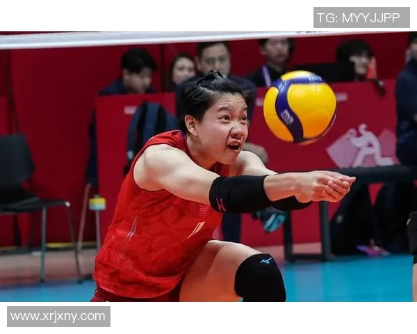 最新排球实力排行榜出炉杭州排球队稳居第一名引领风骚