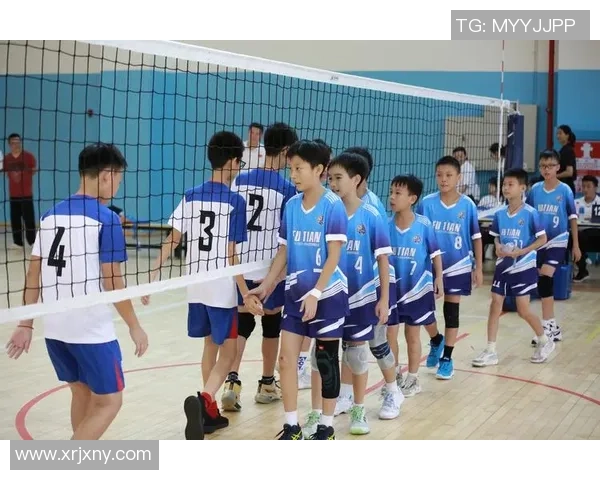 深圳排球队实力展现引发关注大满贯点评其表现与未来发展