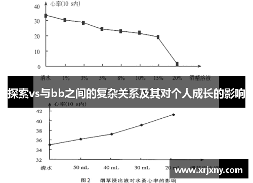 探索vs与bb之间的复杂关系及其对个人成长的影响